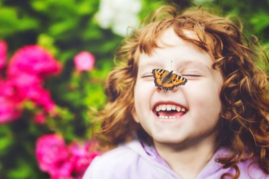 Come convivono esseri umani, mondo animale e ambiente?